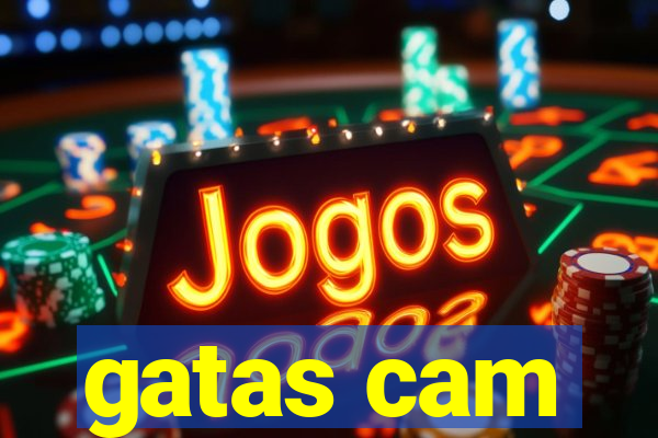 gatas cam